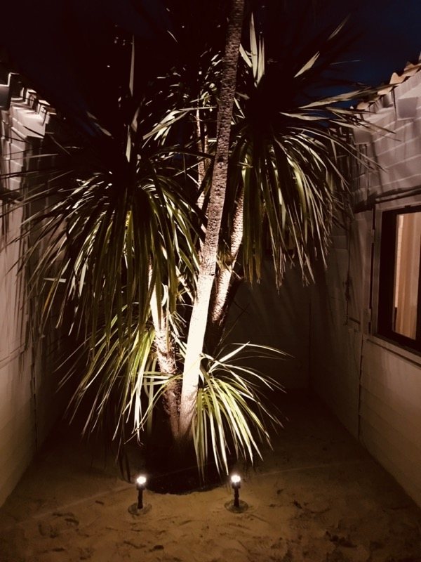 Landscape lighting scene on a private terrace